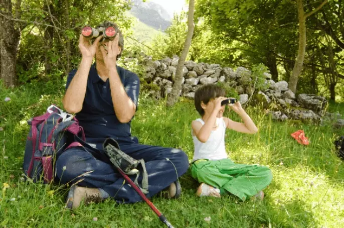 birding with kids birding with kids