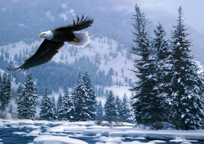 mountain birdwatching