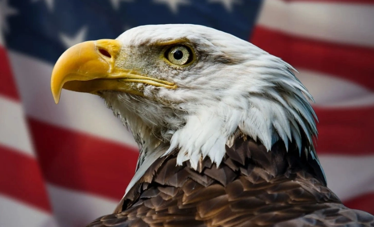 how to tell age and sex of birds how to tell age and sex of birds