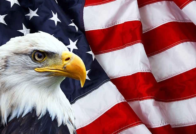 bird identification age sex bird identification age sex