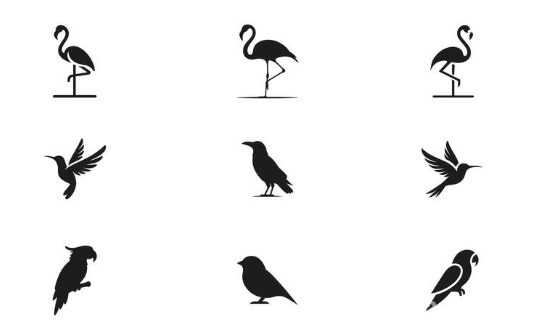 bird identification by silhouette