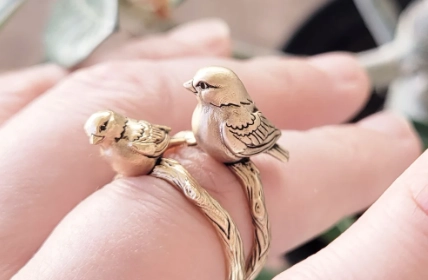 bird ring identification