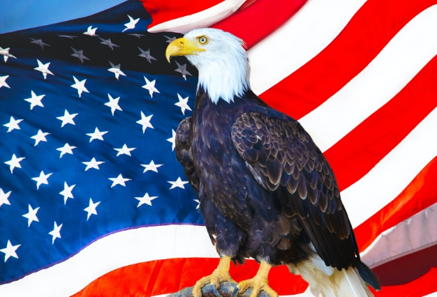 how to tell age and sex of birds how to tell age and sex of birds