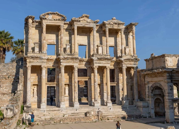 wild turkey identification