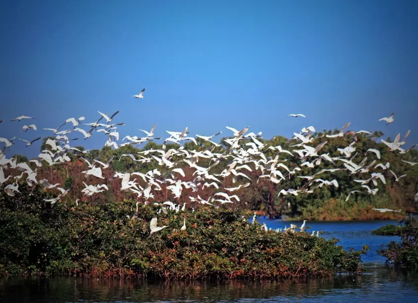 top birding locations America top birding locations America