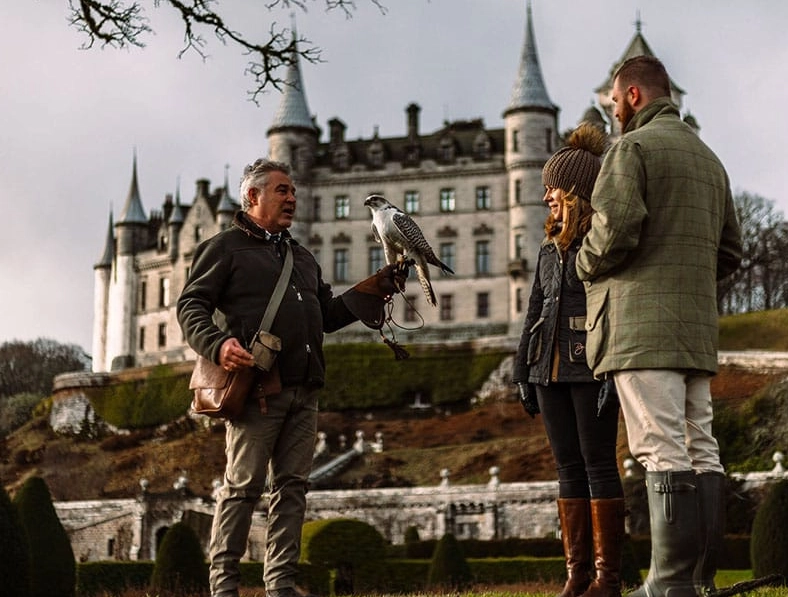 bird watching Europe