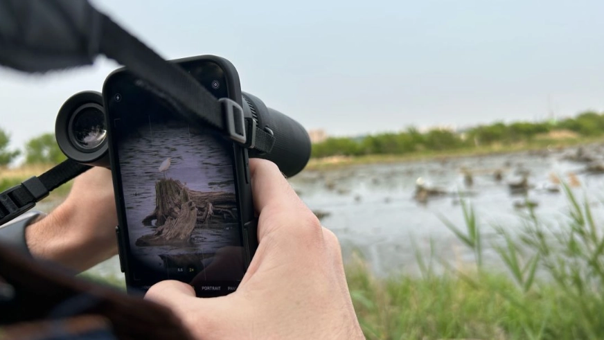 beginner bird watching