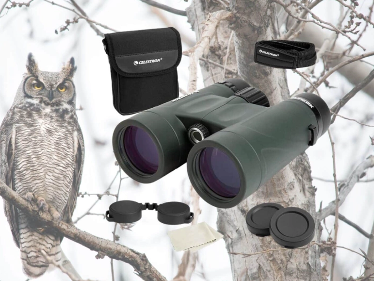 How much should I spend on birding binoculars?