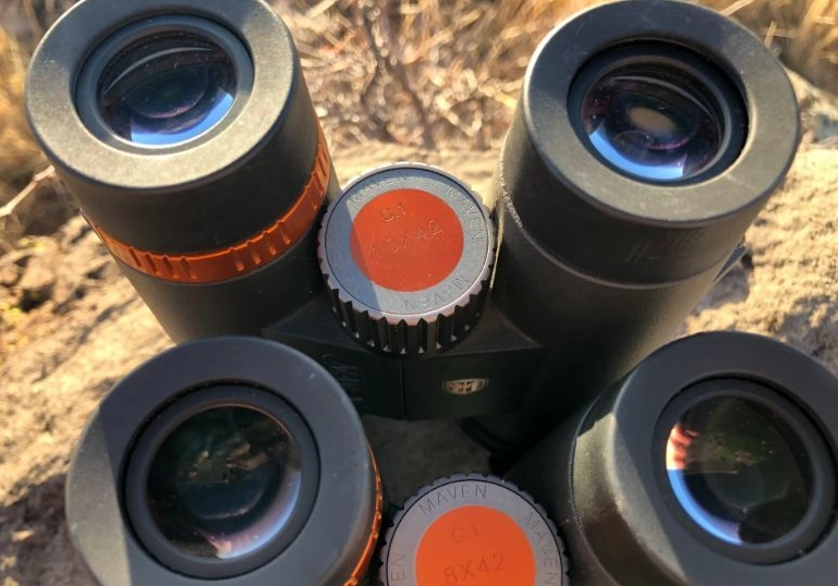 best binoculars for birding best binoculars for birding