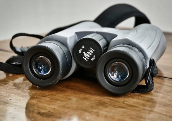 best binoculars for birding best binoculars for birding