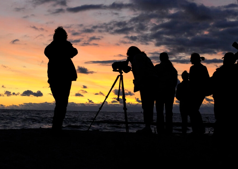 what to wear birding