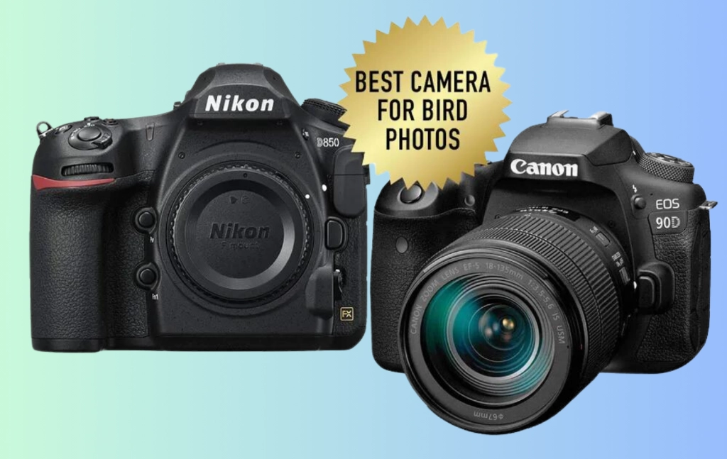best camera for bird photography