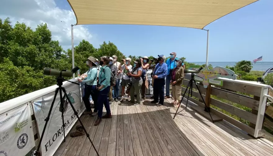 birding in Everglades national park