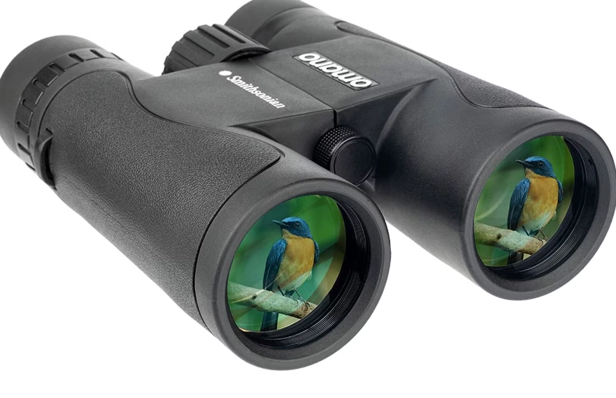 best small birding binoculars best small birding binoculars
