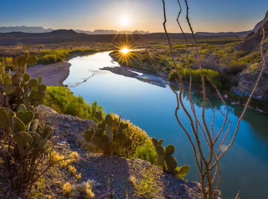 Big Bend birding Big Bend birding