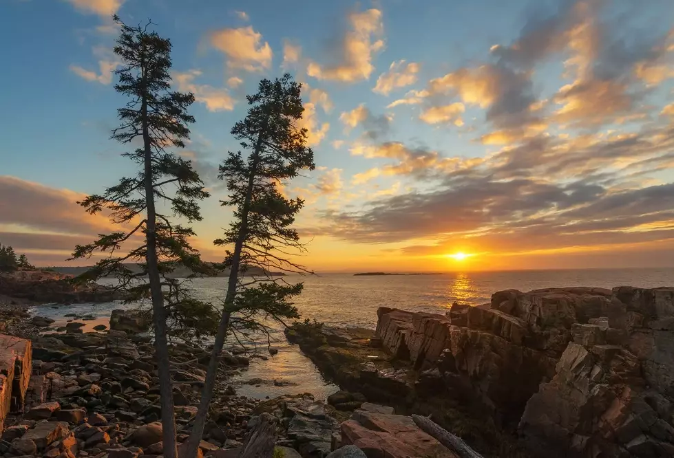 things to do Acadia National Park