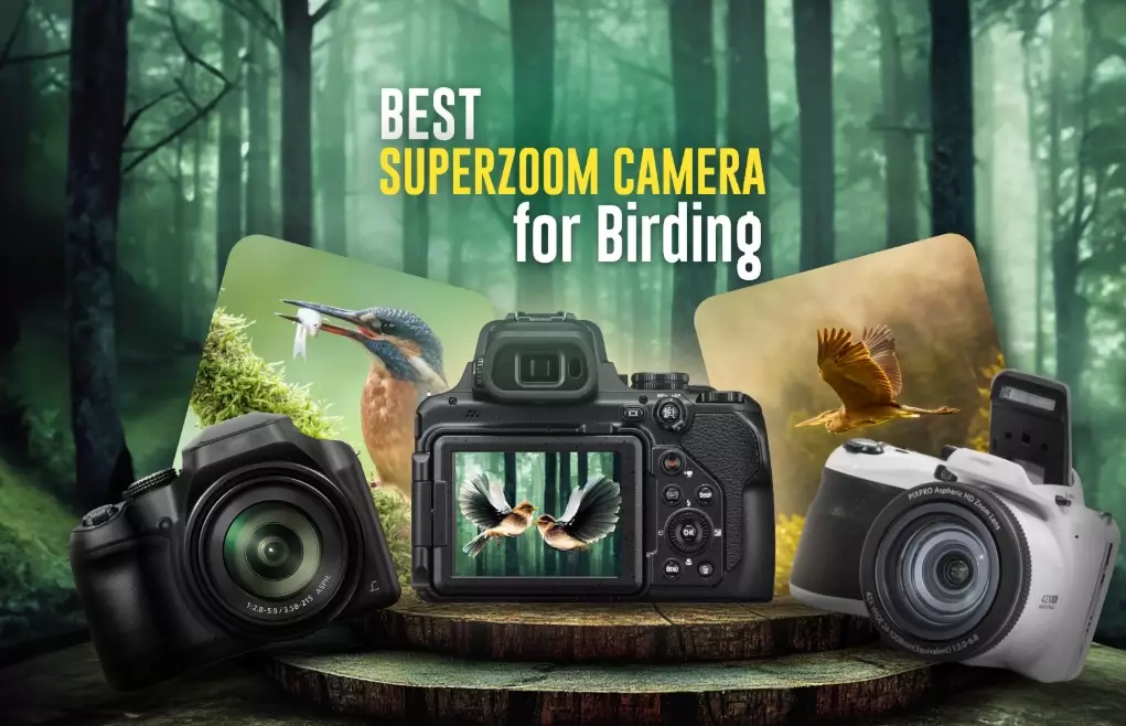 bird photography camera setup