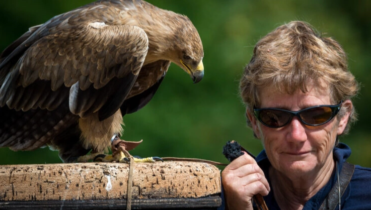 bird song recording for beginners