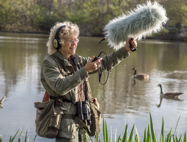 how to record bird sounds how to record bird sounds