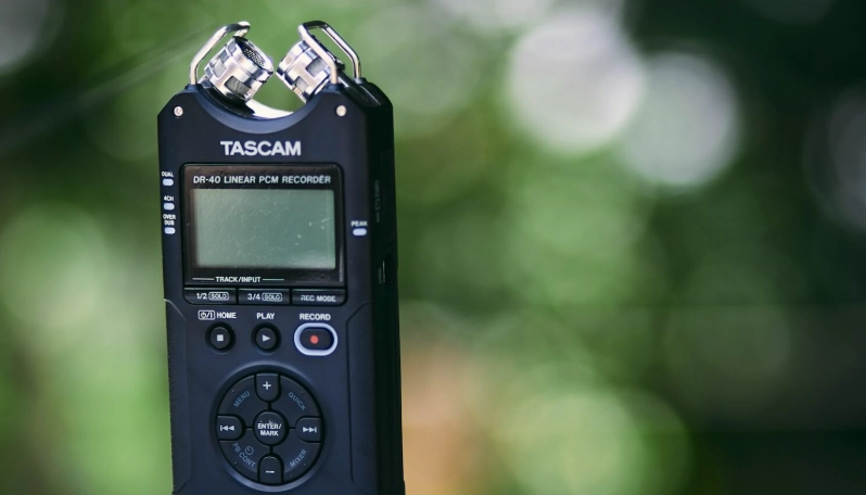 bird sound recording bird sound recording