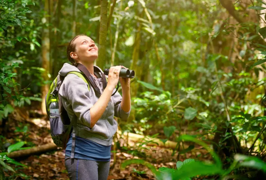 birding ethics birding ethics