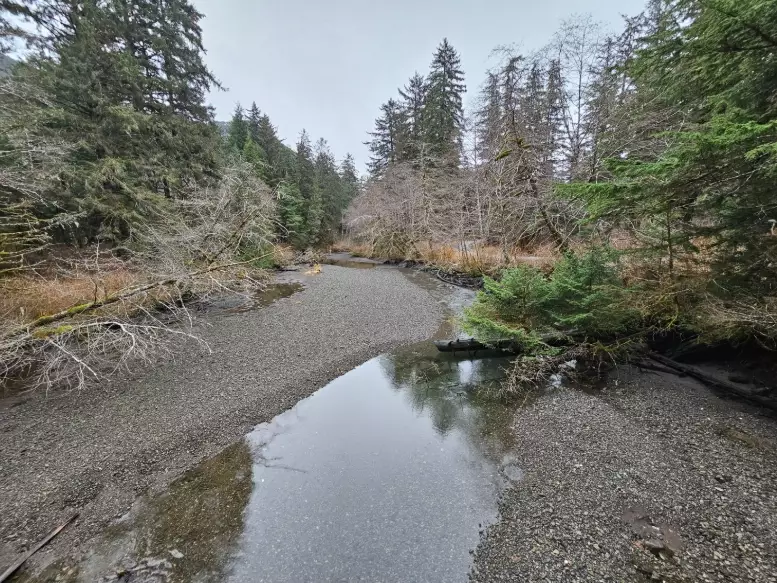 best binoculars for wind