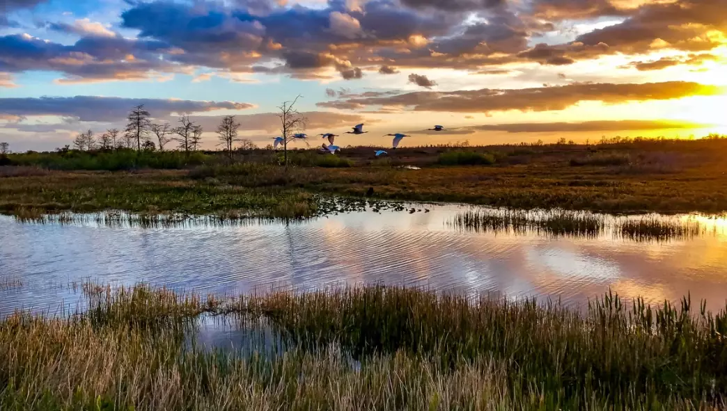 best time to visit Everglades National Park