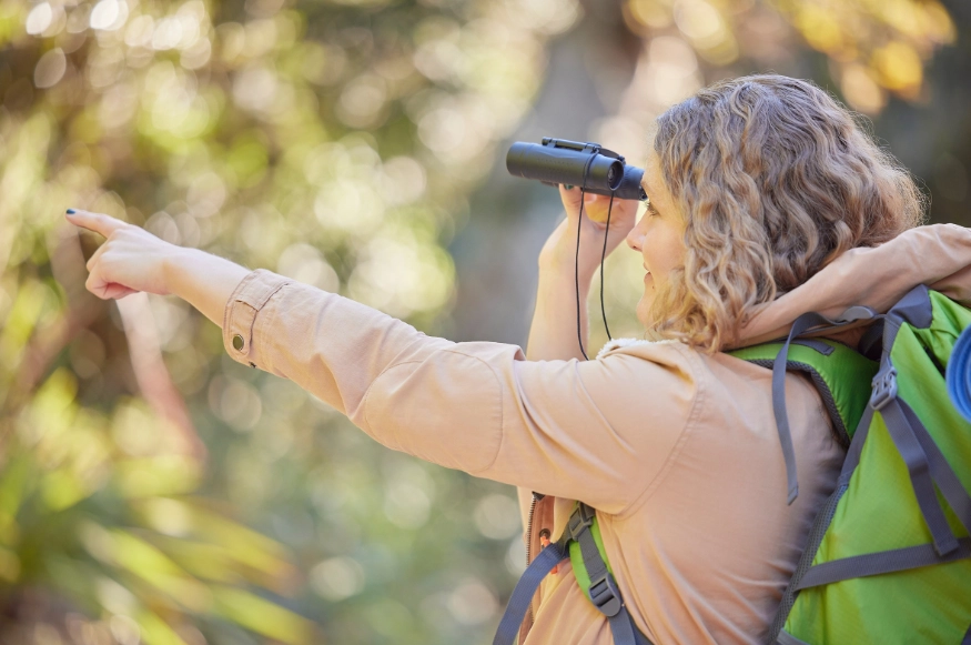 birding for beginners birding for beginners