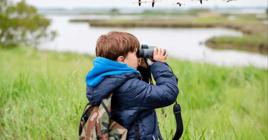 bird watching weather tips