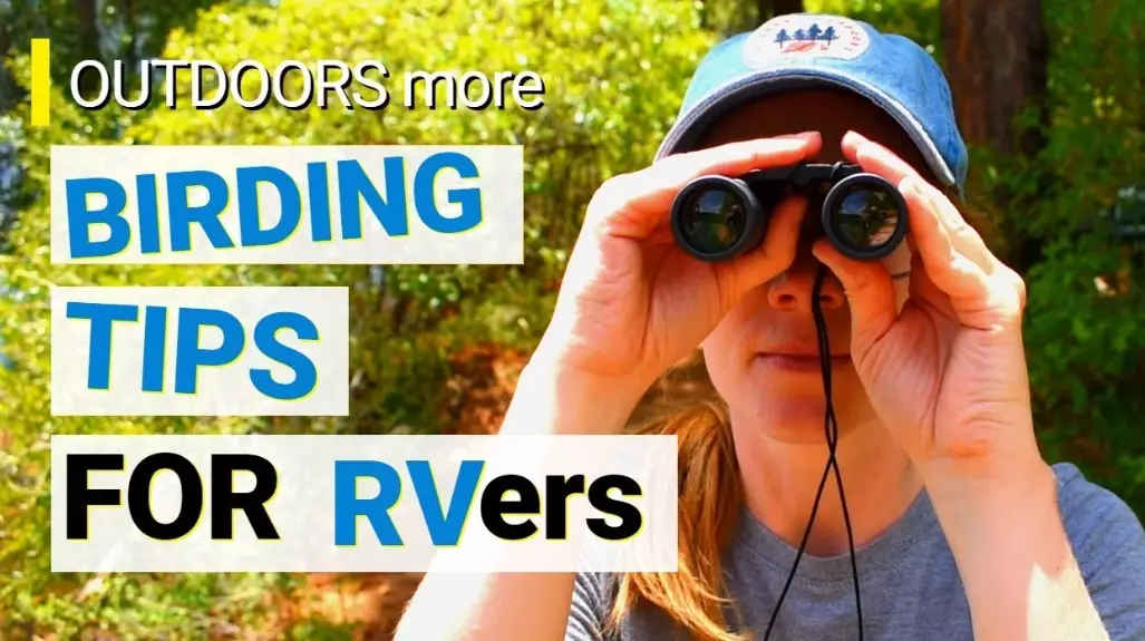 birdwatching equipment birdwatching equipment