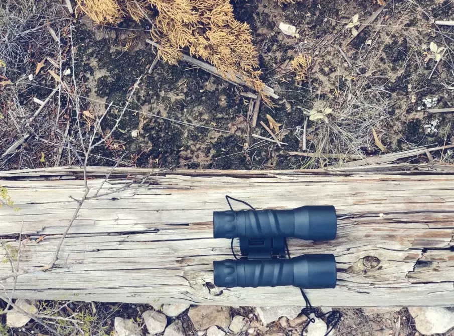 birding binoculars magnification birding binoculars magnification