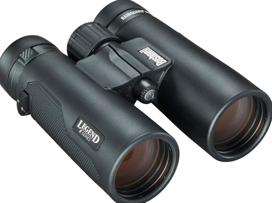 best binocular magnification for birding best binocular magnification for birding