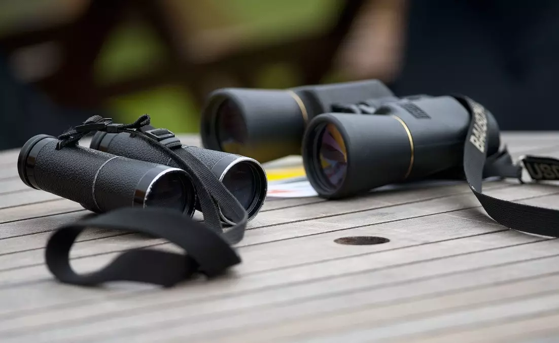 birding binoculars magnification birding binoculars magnification