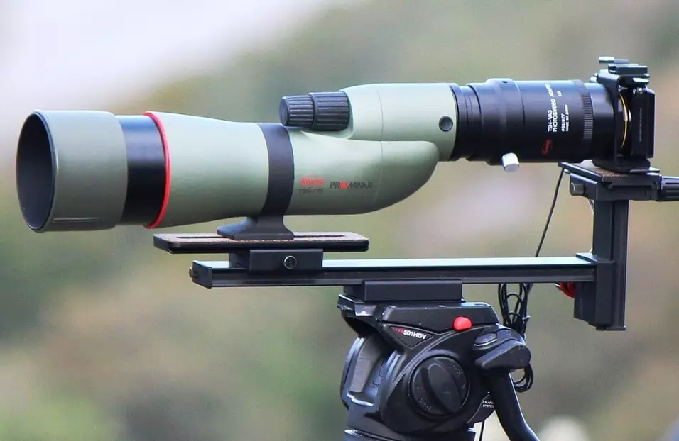 digiscoping for beginners digiscoping for beginners
