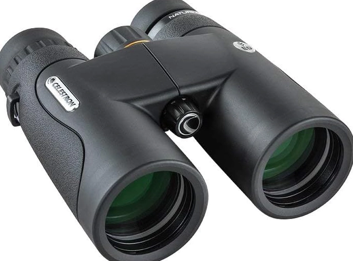 best binoculars for bird watching