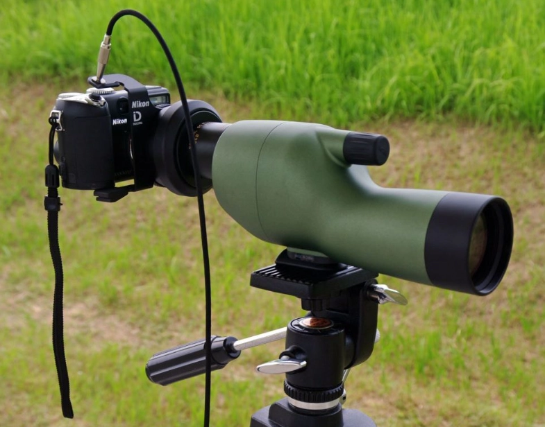 digiscoping for beginners digiscoping for beginners