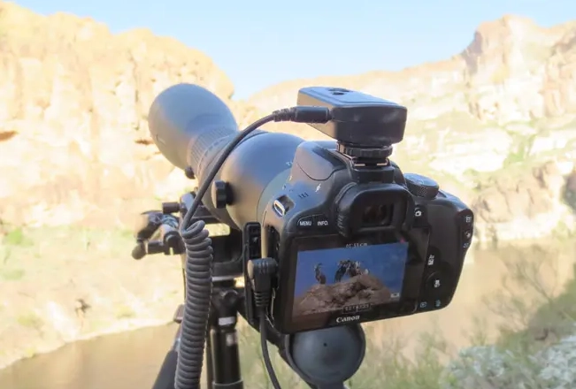 digiscoping for beginners