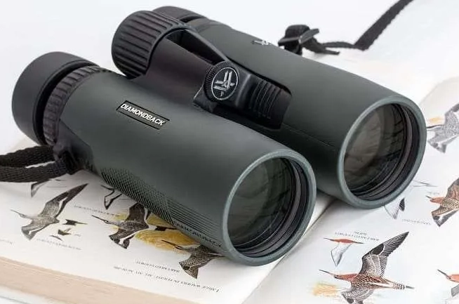 bird watching binoculars