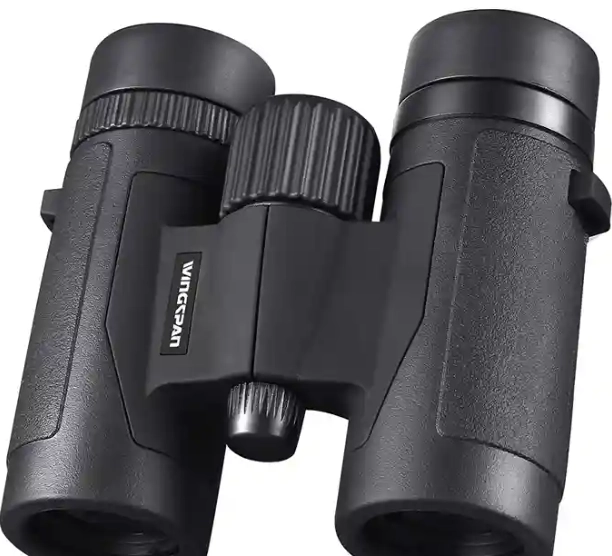 best compact binoculars