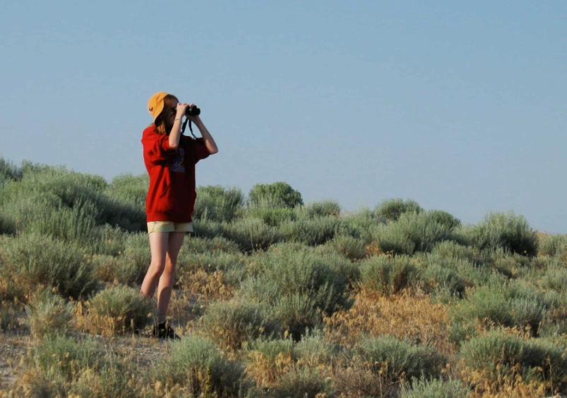 beginner bird watching