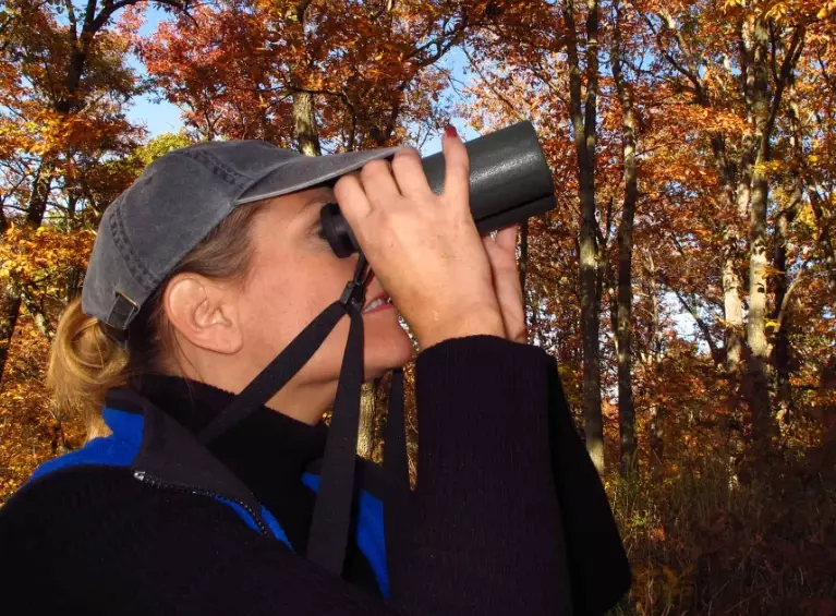 how to start birdwatching