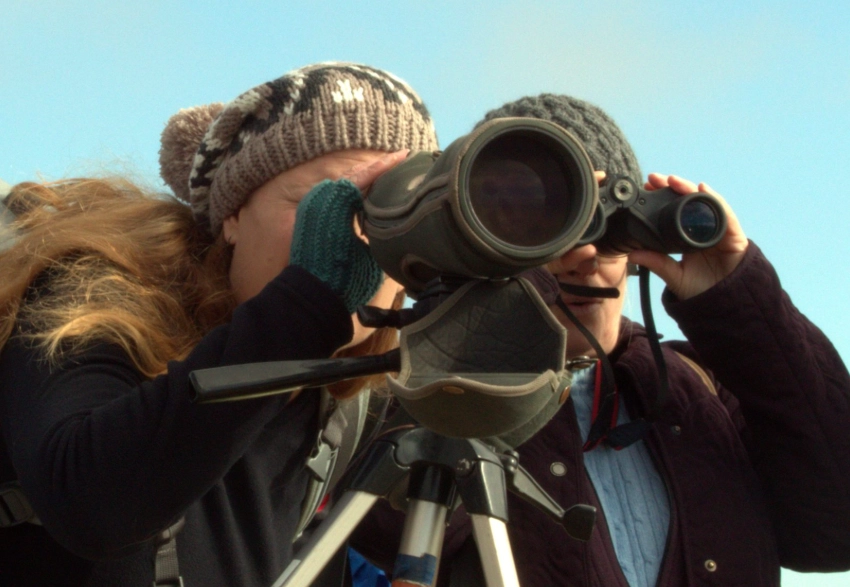 how to join a birdwatching club