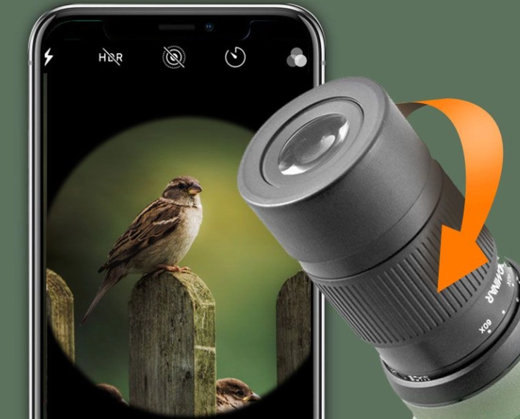 how to digiscope with phone