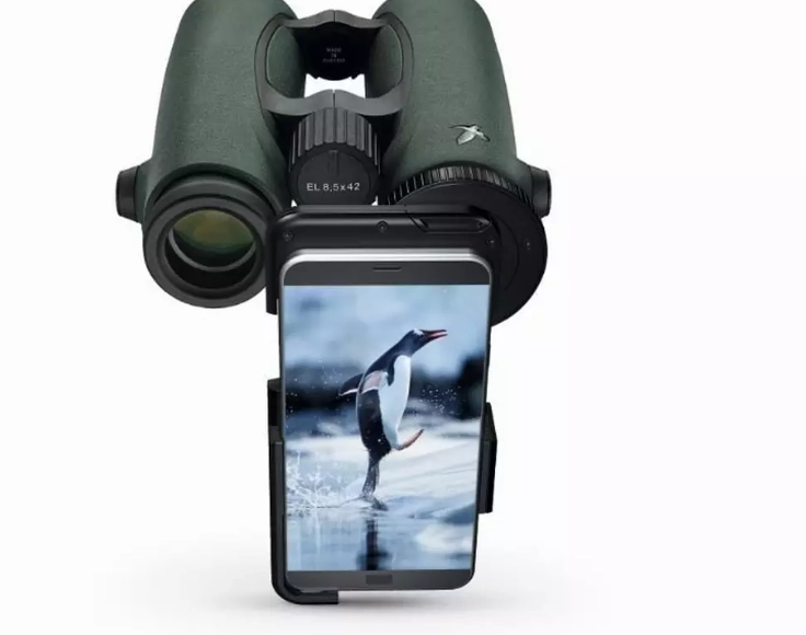 smartphone digiscoping